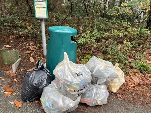 Litter pick along the edge of the Heath